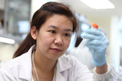 醣重組均相化抗體平臺技術及其創新產品cho-h01 醣重組均相化抗體新藥