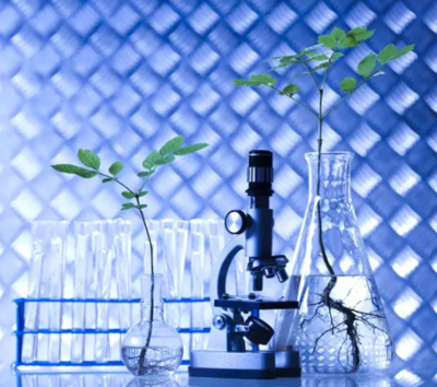 三農(nóng)日報|政策:鼓勵資本助推生態(tài)循環(huán)農(nóng)業(yè);農(nóng)村新電商模式正成為趨勢