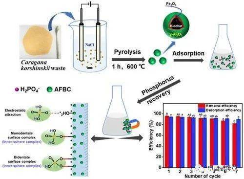 前沿科技 中科院科學(xué)家在生態(tài)環(huán)境治理新型材料研發(fā)方面取得系列進展