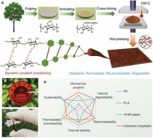 陳朝吉教授課題組在chemical reviews advanced materials等國(guó)際高水平期刊發(fā)表生物質(zhì)基低碳功能材料及綠色儲(chǔ)能材料系列研究成果