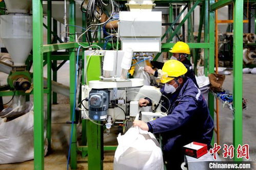 專精特新 企業何以成新疆兵團高質量發展生力軍