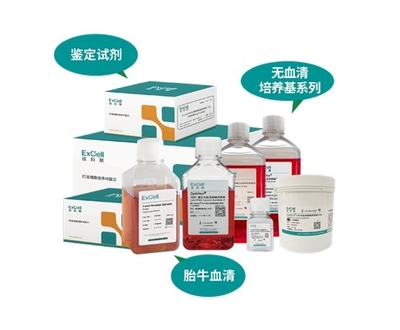 依科賽:聚焦胎牛血清、無血清培養(yǎng)基和鑒定試劑國產(chǎn)化和國際化