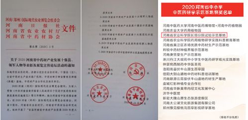 我院喜獲2020 河南省中小學(xué)中醫(yī)藥研學(xué)示范基地