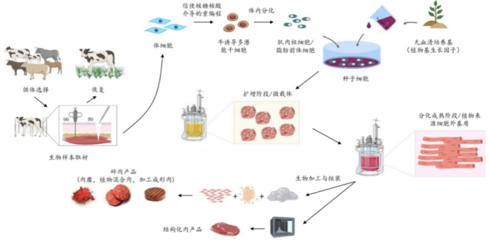 226起投融資、52個過億項目.食品飲料行業有哪些潛力賽道值得挖掘?