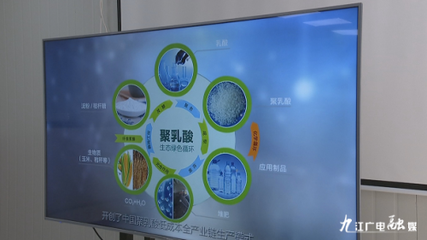 羅小云副省長赴潯調研聚乳酸全產業鏈項目，聚焦生物基材料研發新進展